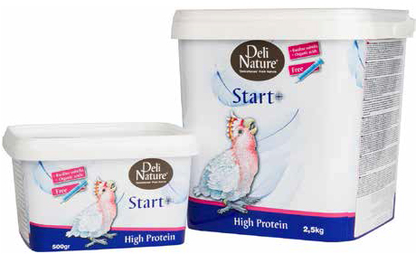 DN START + HIGH PROTEIN