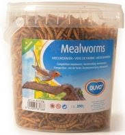 MEAL WORMS BUCKET 1L 200G