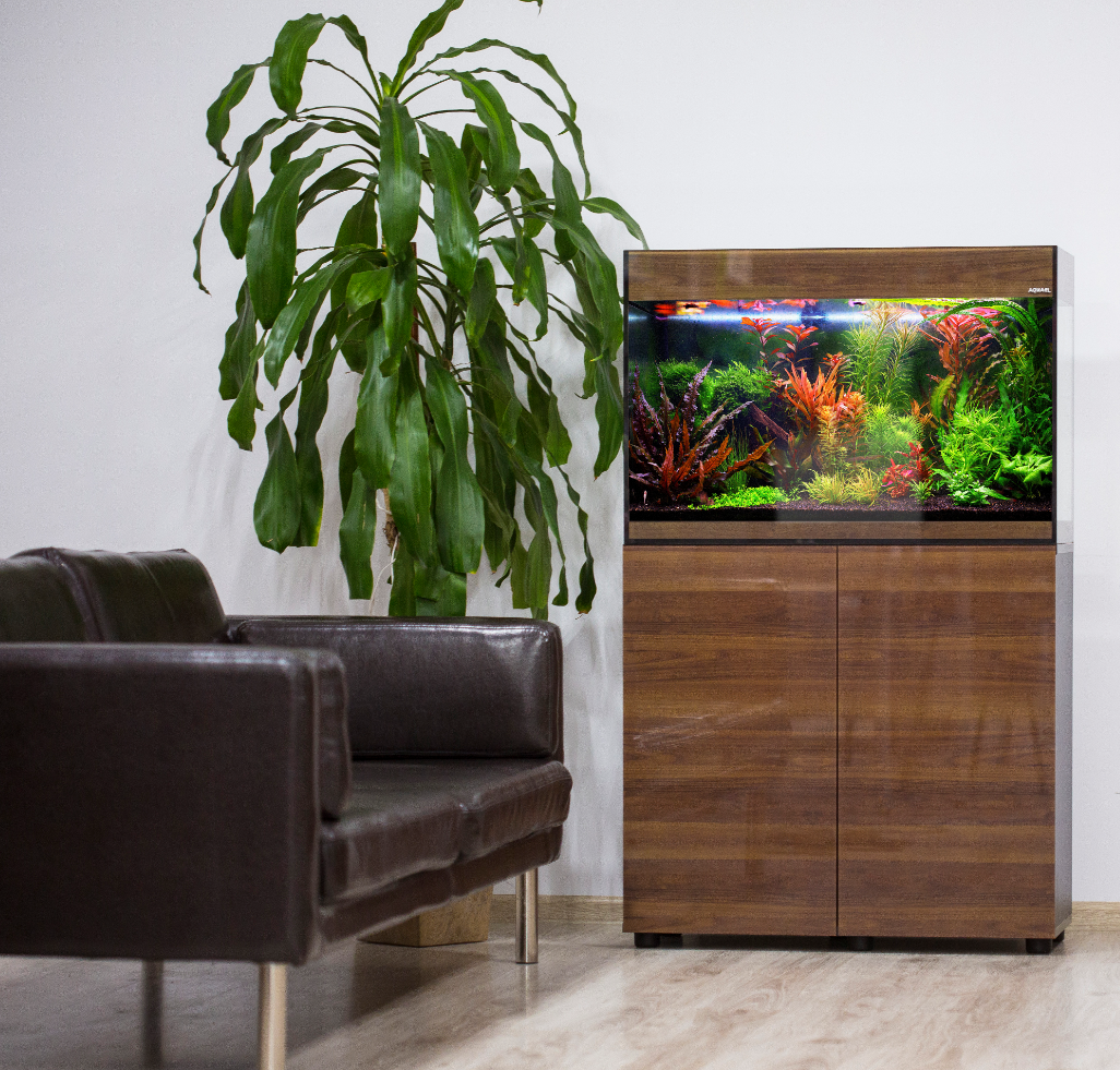 GLOSSY AQUARIUM LINE ΚΑΡΥΔΙΑ