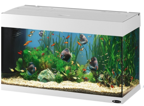 DUBAI 80 AQUARIUM ΛΕΥΚΟ LED