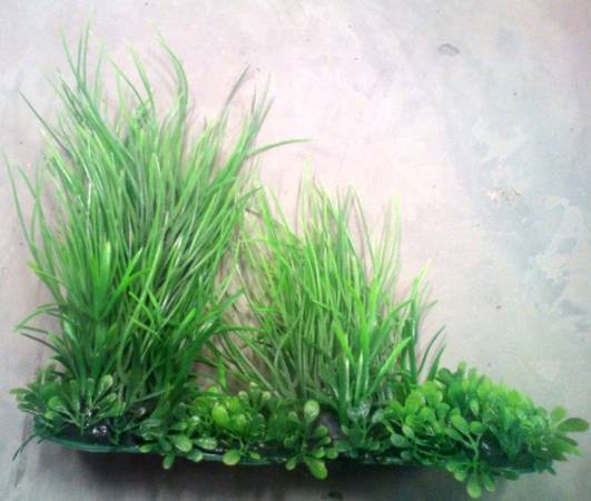 PLASTIC PLANT LONG  GREEN BRUSH
