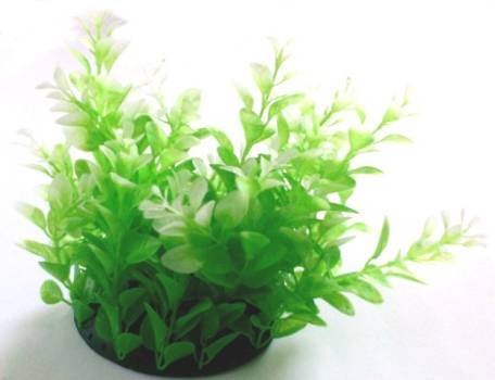 PLASTIC PLANT WITH WHITE ENDS 20cm
