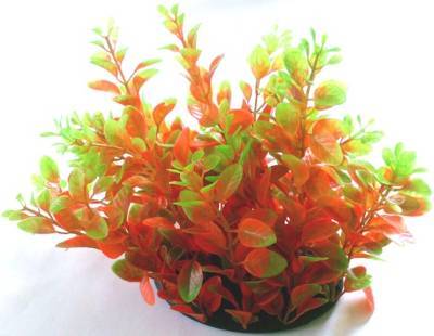 PLASTIC PLANT RED WITH GREEN ENDS 20cm