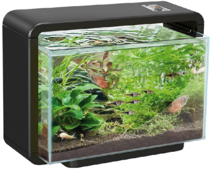 FASHION HOME AQUARIUM