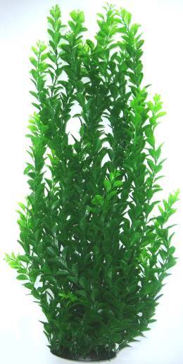 PLASTIC PLANT DARK GREEN 43cm