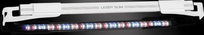 LEDDY SLIM PLANT