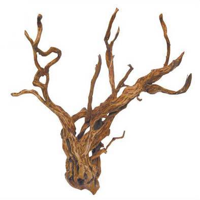 DRIFT ROOT (spider root) per KG