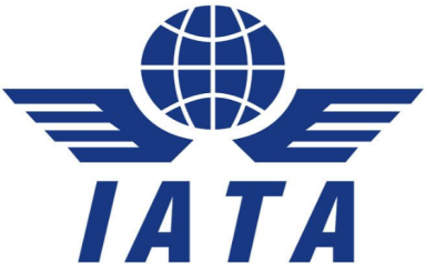 TRASPORTINO VISION IATA BOX