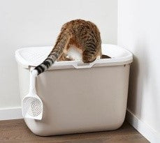 LITTER TRAY HOP-IN