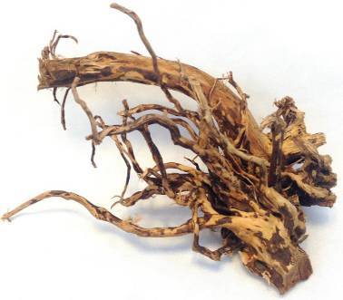 DRIFT ROOT (корень паука) за кг