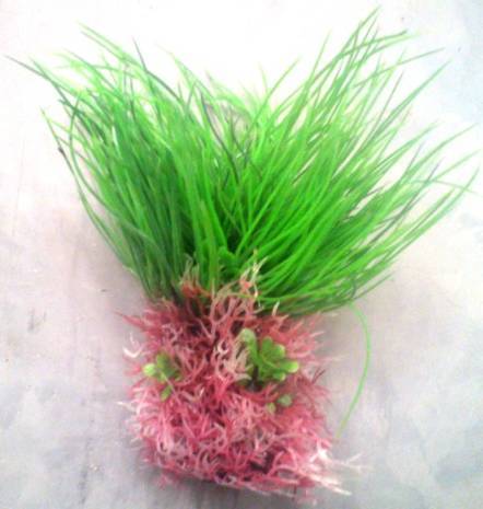PLASTIC PLANT GREEN WITH RED ROOTS