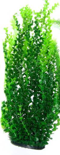 PLASTIC PLANT DARK GREEN ROUND LEAF 65cm