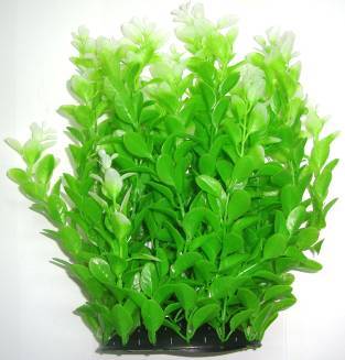 PLASTIC PLANT LIGHT GREEN  30cm