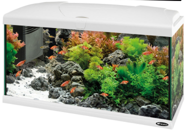 CAPRI 80 AQUARIUM LED