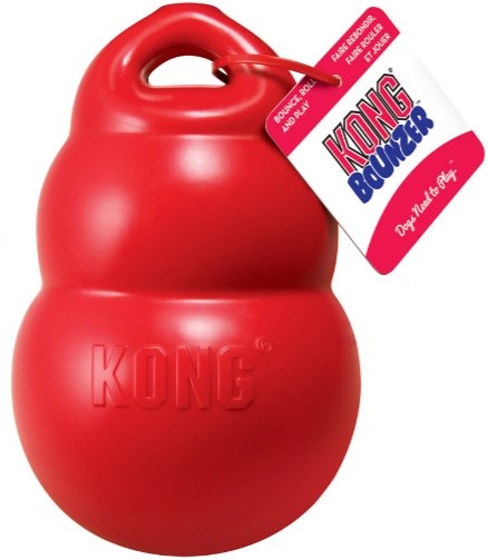 KONG BOUNZER