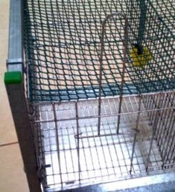 Cage for dogs outlet olx