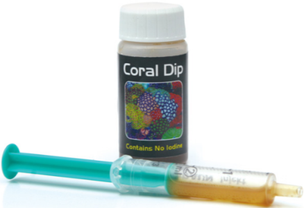 CORAL DIP 20ML