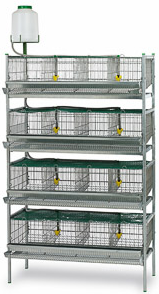 QUAIL CAGE 2 FLOORS