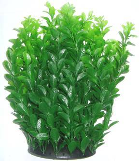 PLASTIC  PLANT  DARK GREEN LONG LEAF 30cm