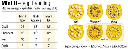 INCUBATOR MAXI 2 ECO