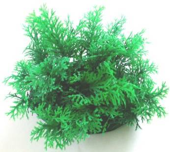 PLASTIC PLANT GREEN BRUSH LEAF 9cm