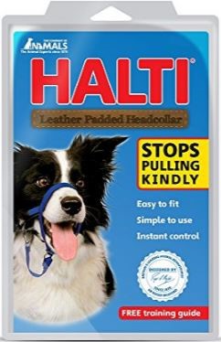 HALTI  LEATHER PADDED HEAD COLLAR