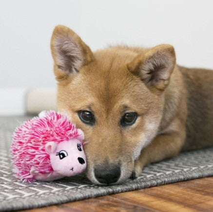 COMFORT HEDGEHUG PUPPY