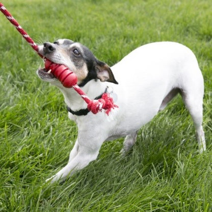 DENTAL ROPE