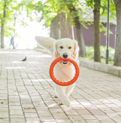 PITCHDOG RING TOY FOR DOGS ORANGE