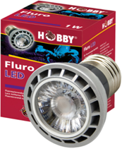 FLURO LED