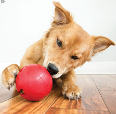 KONG BISCUIT BALL