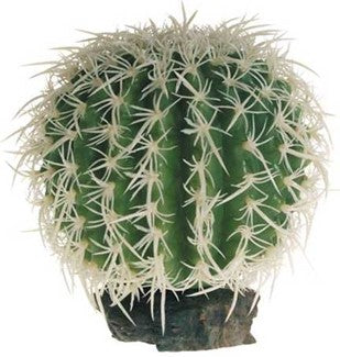 CACTUS SIERRA NEVADA 16cm