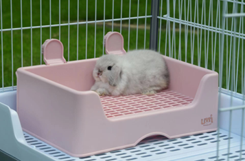 RABBIT TOILET WITH GRILL