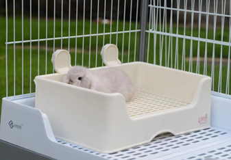RABBIT TOILET WITH GRILL