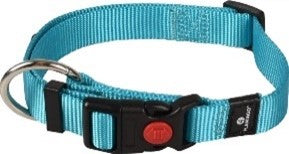 ZIGGI DOG COLLAR TURQUOUSE