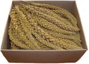 CHINESE MILLET 15KG