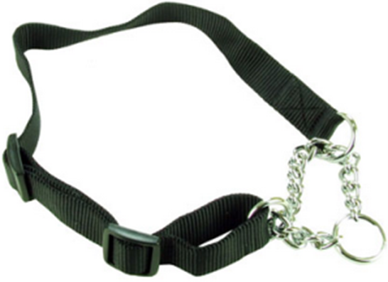 TRAINING DOG COLLAR BLACK